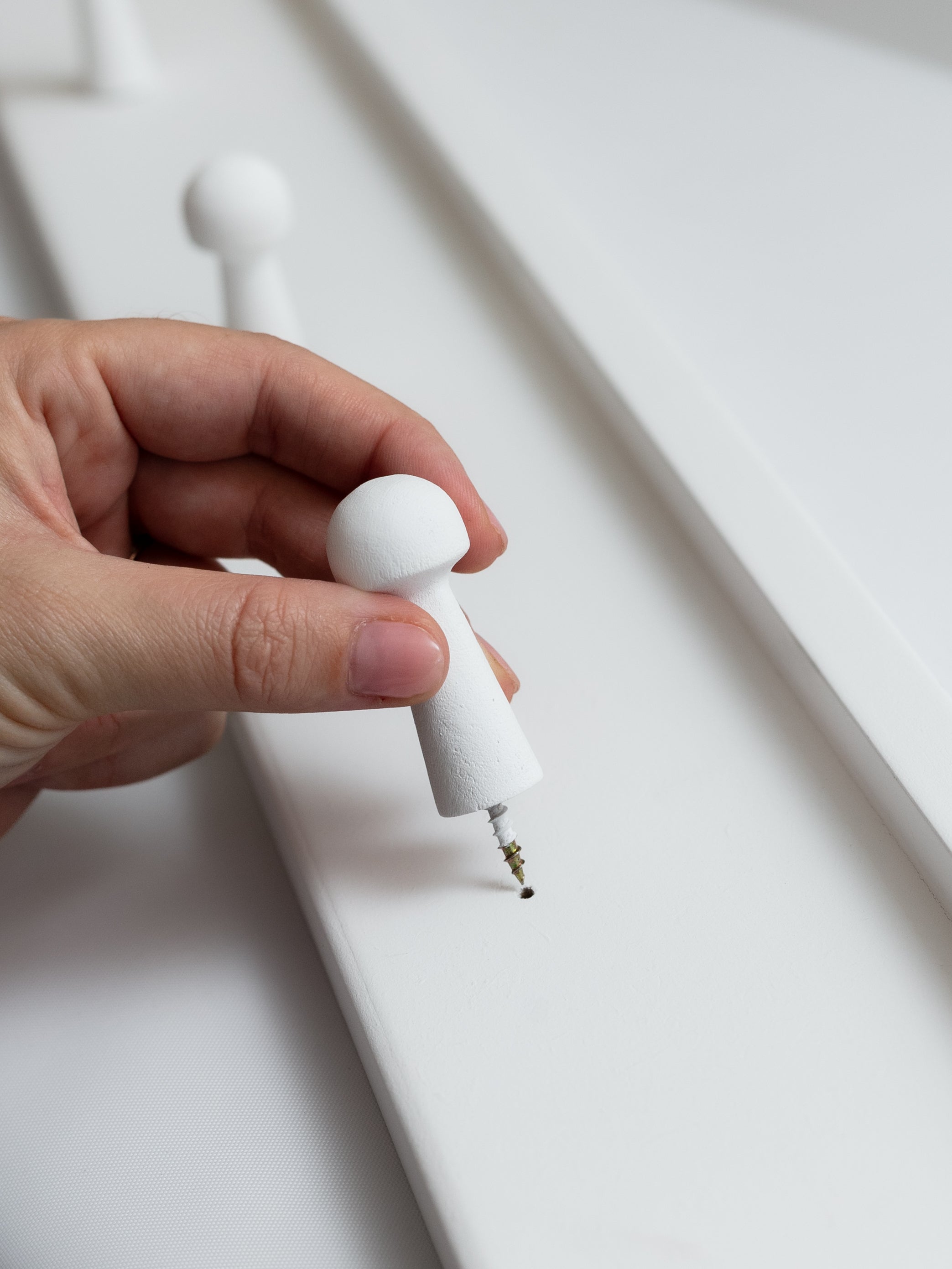 Shaker Peg Rail (5 Pegs)
